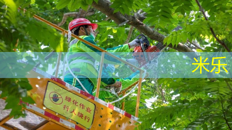 网球拍主动发力技巧有哪些