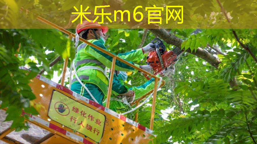 米乐m6官网：网球拍儿童23寸多大的