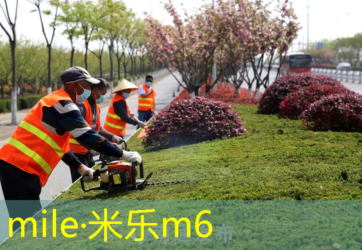 自动步枪上的网球拍