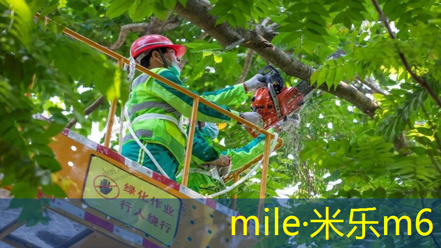 mile·米乐m6：线条网球拍怎么贴上去