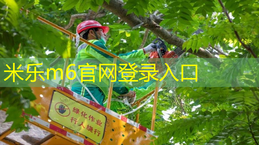 mile·米乐m6：网球拍头保护槽怎么安装