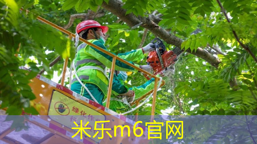 mile米乐m6官网：有什么性价比的网球拍好用