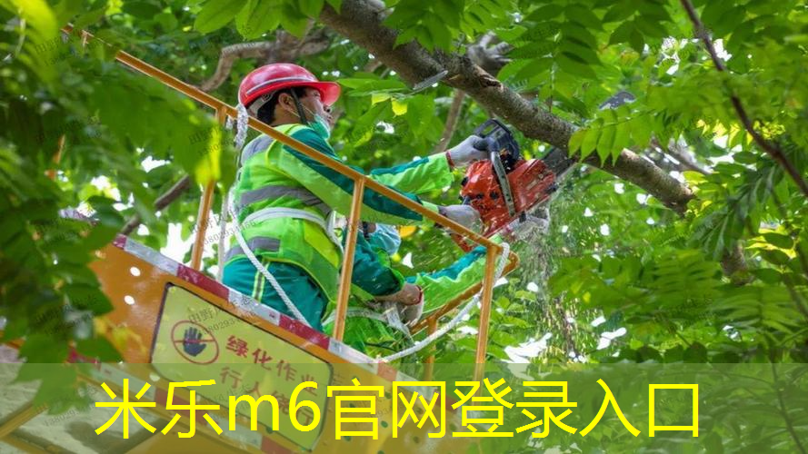 mile·米乐m6：和网球拍相近的东西叫什么