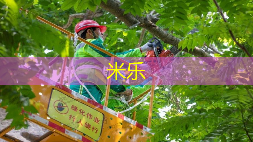 米乐m6官网：新手网球拍多少克比较好