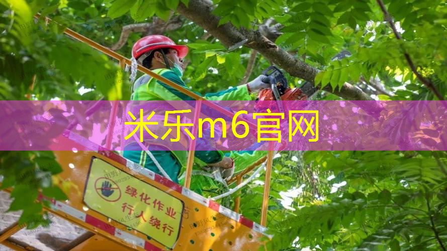 mile米乐m6官网：幼儿园网球拍器械操教案