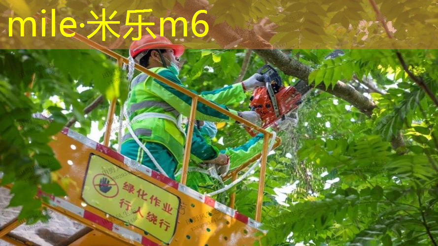米乐m6官网：网球拍女孩子怎么选择好