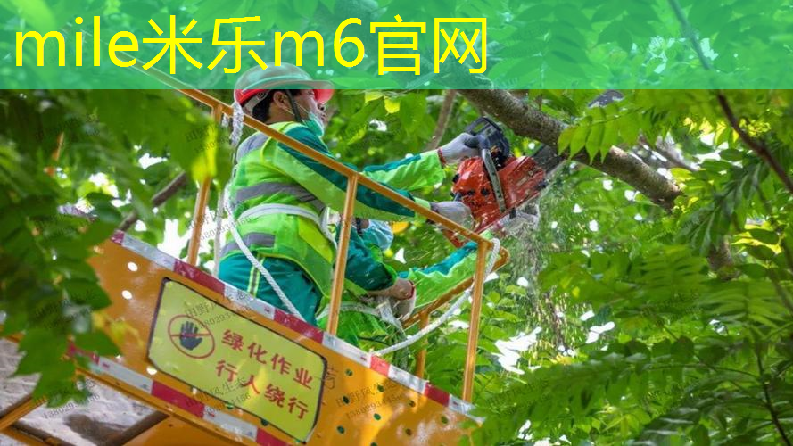 mile·米乐m6：网球拍很久没用怎么办了