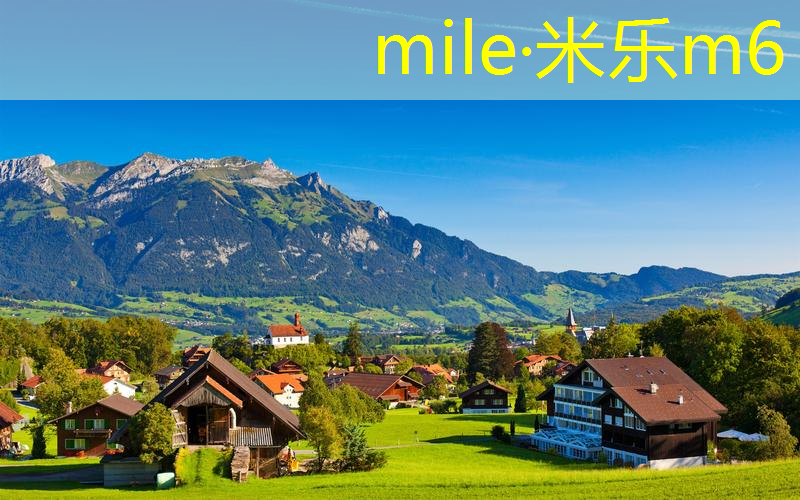 mile·米乐m6：网球拍避震结胶系法