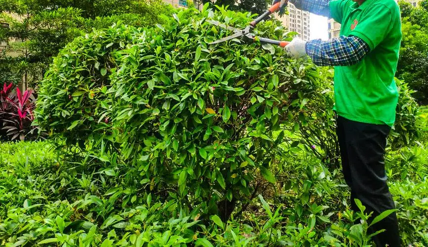 米乐m6官网：网球拍甜点在哪个位置