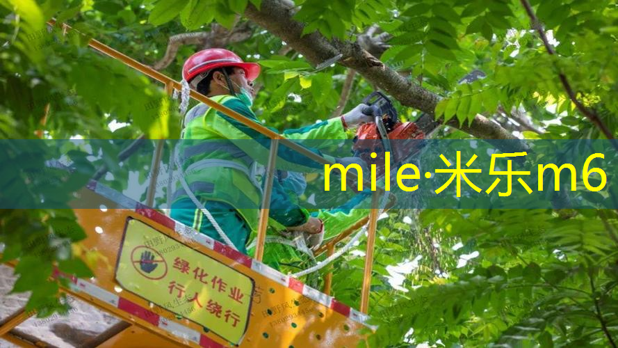 网球拍主动发力技巧有哪些
