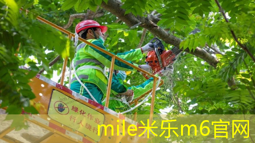 网球拍儿童23寸多大的