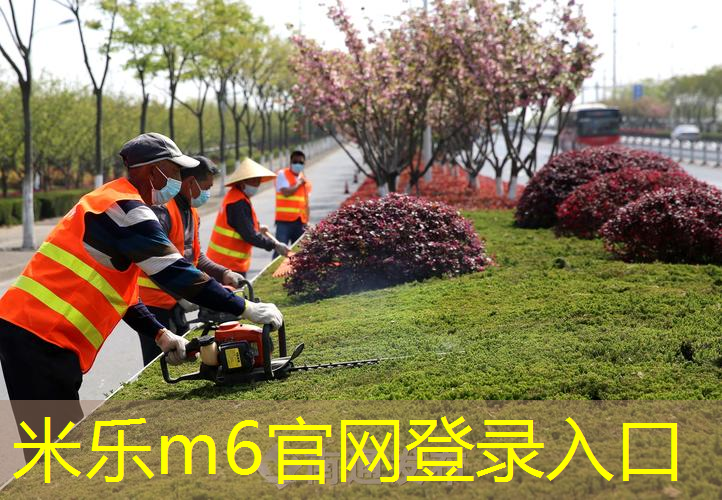 自动步枪上的网球拍