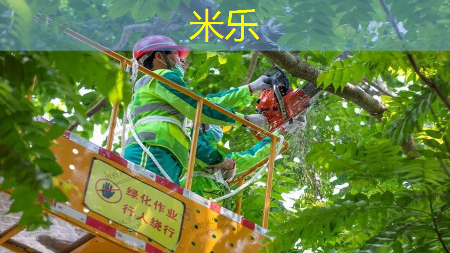 线条网球拍怎么贴上去