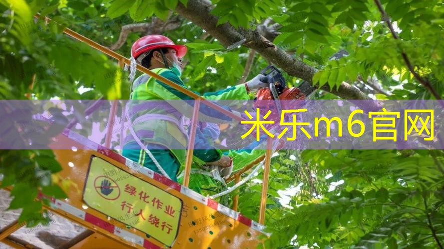 网球拍头保护槽怎么安装