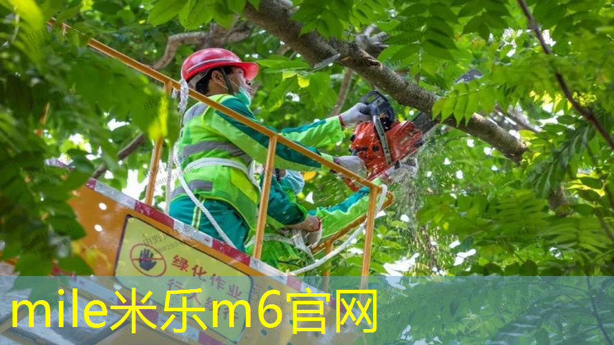 网球拍草莓拍哪个好用点