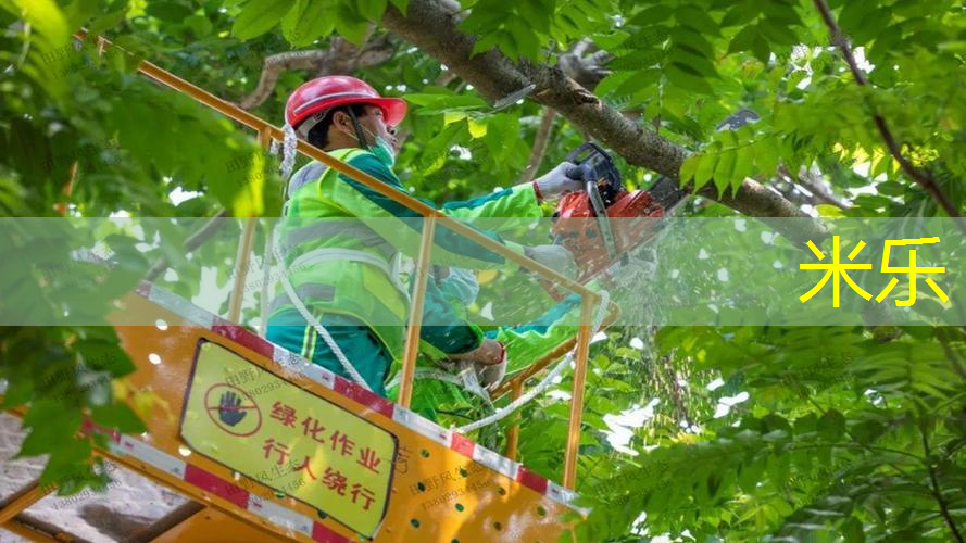 网球拍子选什么颜色好