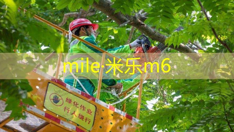 一号柄碳纤维网球拍