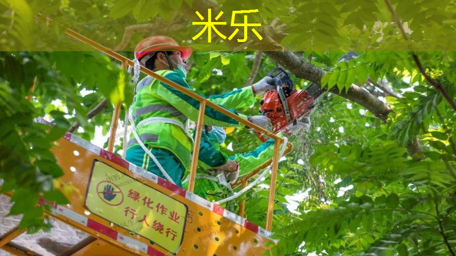 幼儿园网球拍器械操教案