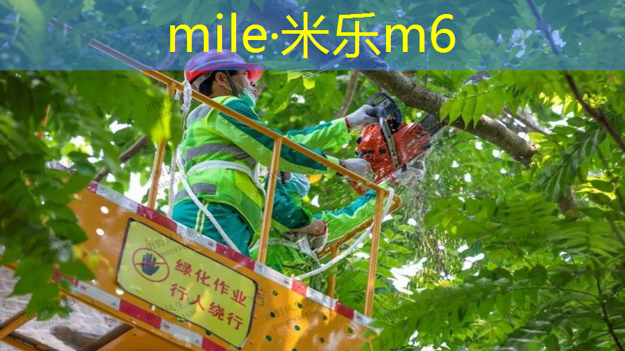 网球拍单人训练器整套