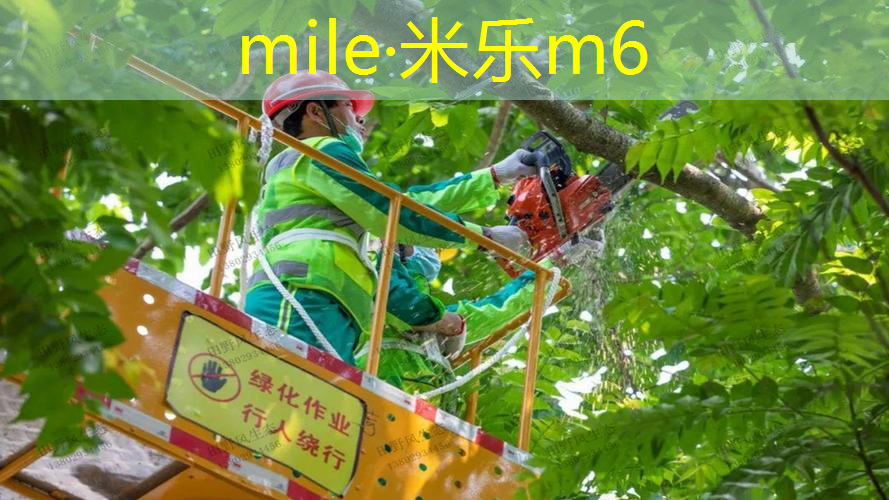网球拍很久没用怎么办了